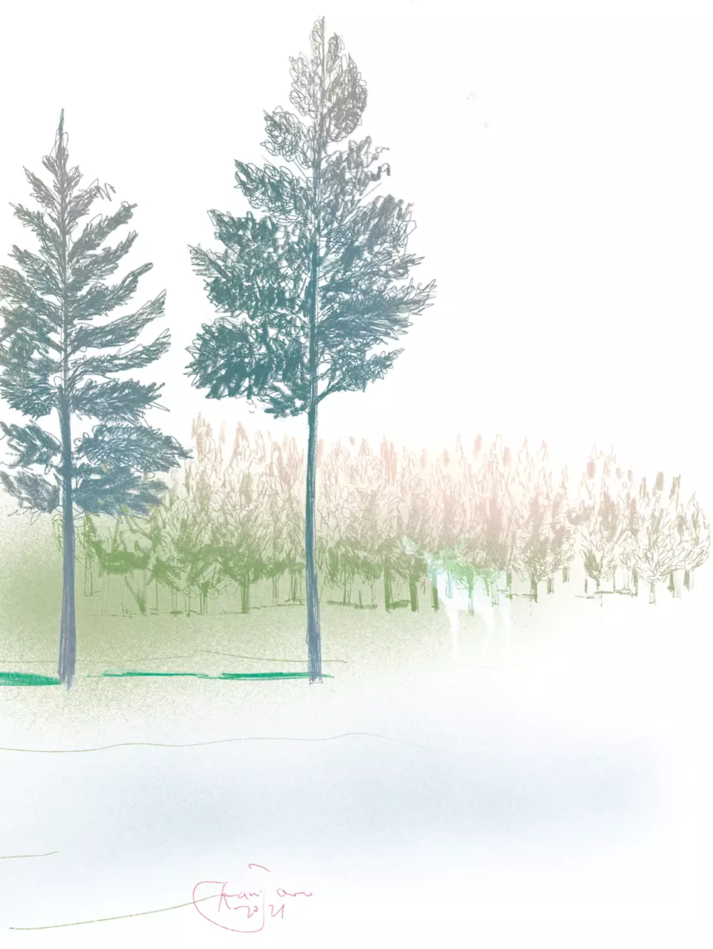 illustra alberi reintegration verde 1 2