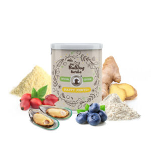 100 g Happy Joints 600x600 1 1.jpg