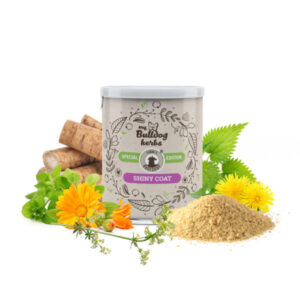 100 g Shiny Coat 600x600 1 1.jpg