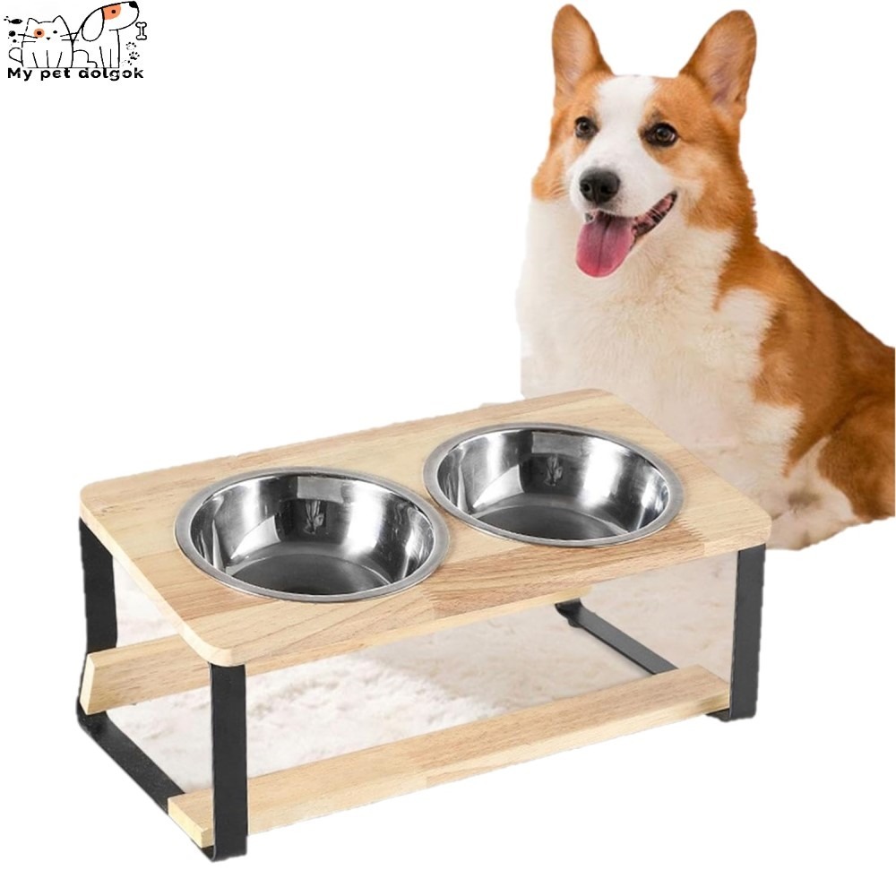 Megemelt kisállat etető-itató készlet