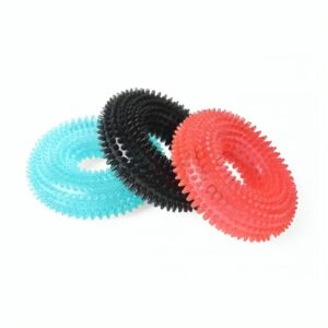 Fogtisztítós csipogó korong