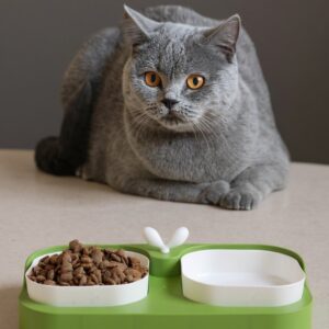 Levélcsírás dupla tálkészlet kisállatoknak - Zöld