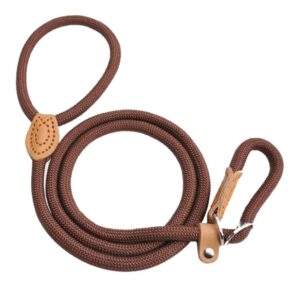 Kiképzési retriever póráz - Barna