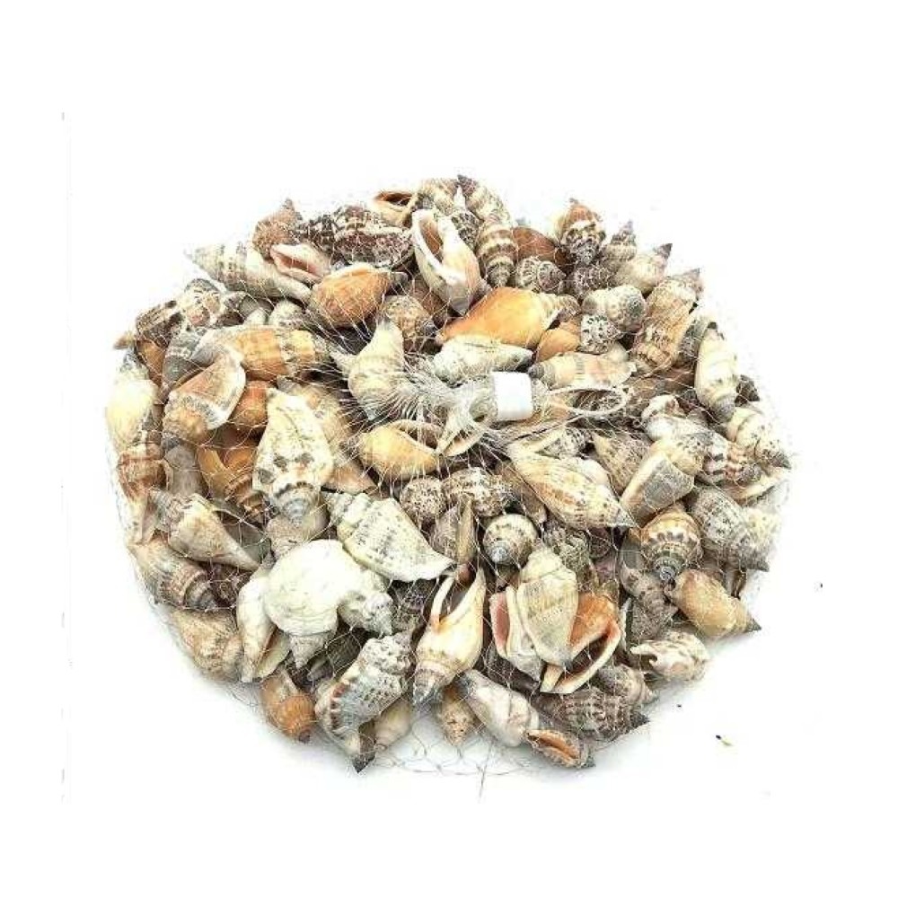 Akváriumi kagyló dísz csomag – 100g