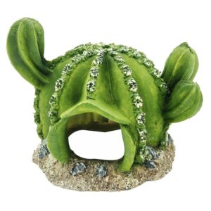 Akváriumi kaktusz búvóhely